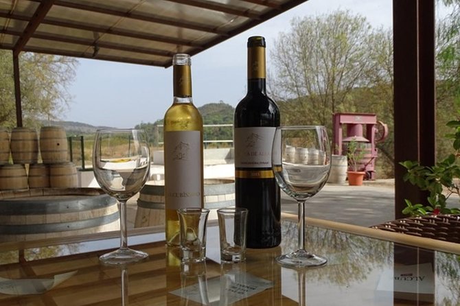 Arrábida Palmela Azeitão Private Tour - W/ Wine Tasting & Tapas - Scenic Bridge Crossing Over Vasco da Gama Bridge