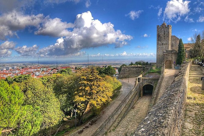 Arrábida Palmela Azeitão Private Tour - W/ Wine Tasting & Tapas - Exploring Azeitao Town and Its Sweets and Wines