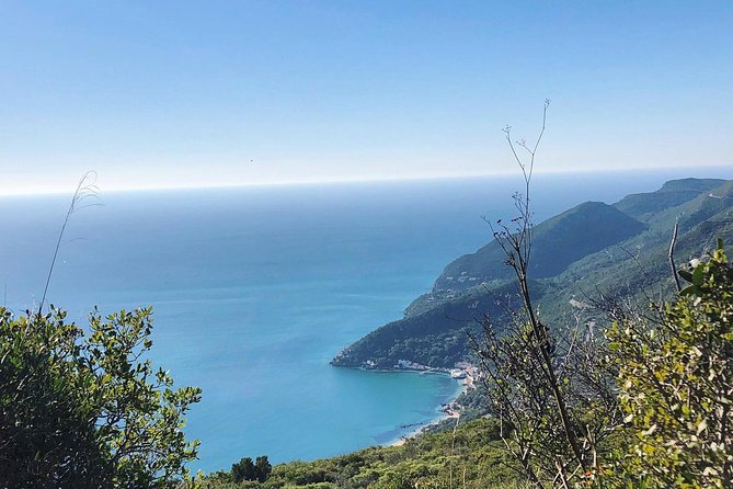 Arrábida Palmela Azeitão Private Tour - W/ Wine Tasting & Tapas - Tasting at the Historic Jose Maria de Fonseca Winery
