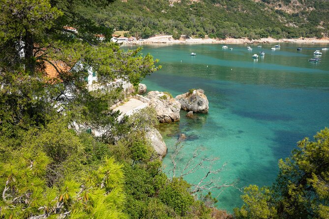 Arrábida: Private Setubal Highlights Tour (Full Day) - Visiting the Vibrant Mercado do Livramento