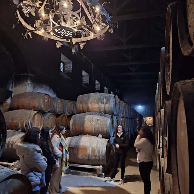 Arrábida - Sesimbra: Jeep Tour and Wine Tasting at Azeitão - Key Points