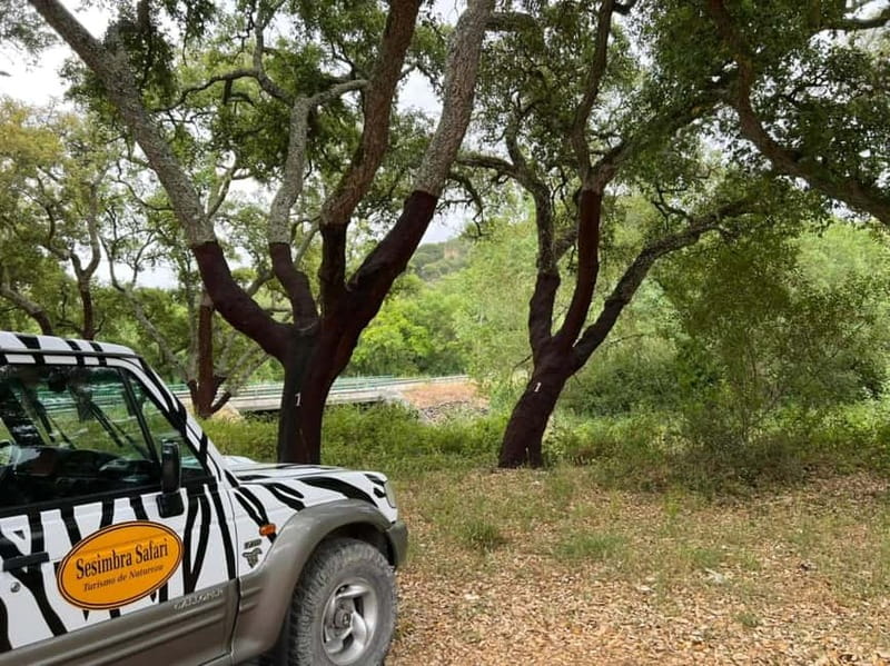 Arrábida - Sesimbra: Jeep Tour and Wine Tasting at Azeitão - Visiting Azeitão’s Wine Culture at José Maria Da Fonseca