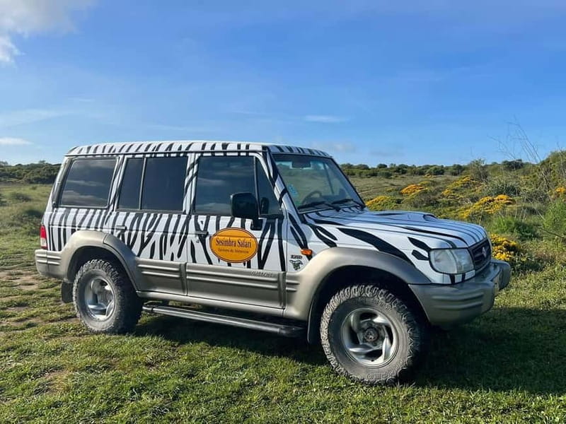 Arrábida - Sesimbra: Jeep Tour and Wine Tasting at Azeitão - Tour Pacing and Physical Requirements