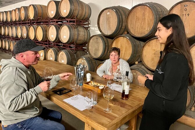 Arrábida & Setúbal Wine Tour: Food & All-Inclusive from Lisbon - Art and Wine at Bacalhôa Vinhos de Portugal