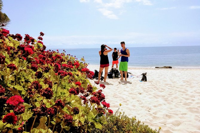 Arrábida Snorkeling Adventure with Transfer from Lisbon - Guided Tour with an Expert Local Guide