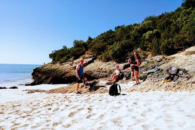 Arrábida Snorkeling Adventure with Transfer from Lisbon - Practical Details and What’s Included