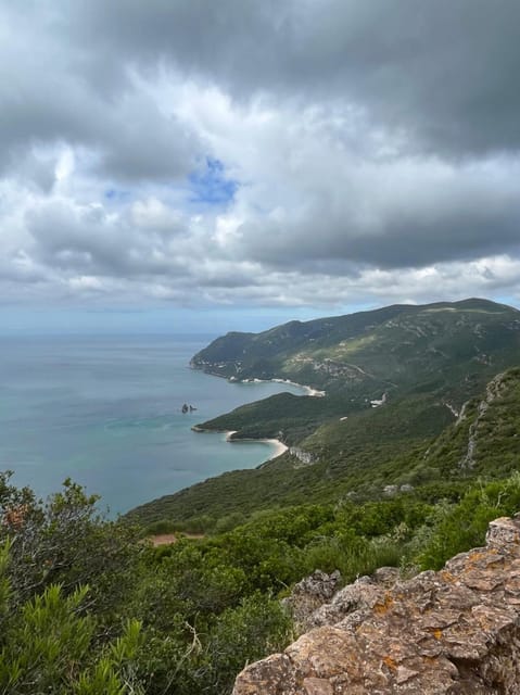 Arrábida: Wine Tour & Tastings Day Tour (Private) - Scenic Drive Through Arrábida Natural Park