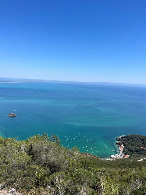 Arrábida: Wine Tour & Tastings Day Tour (Private) - Exploring the Wineries: Bacalhôa or José Maria da Fonseca