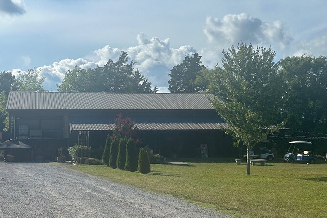 Arrington Wine and Franklin Dine Private Tour from Nashville - Experiencing the Beauty of Arrington Vineyards