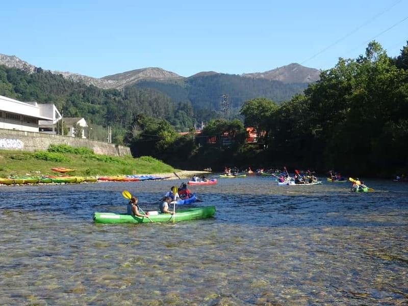 Arriondas: Canoeing Descent on the Sella River - Wildlife and Landscape Highlights on the River