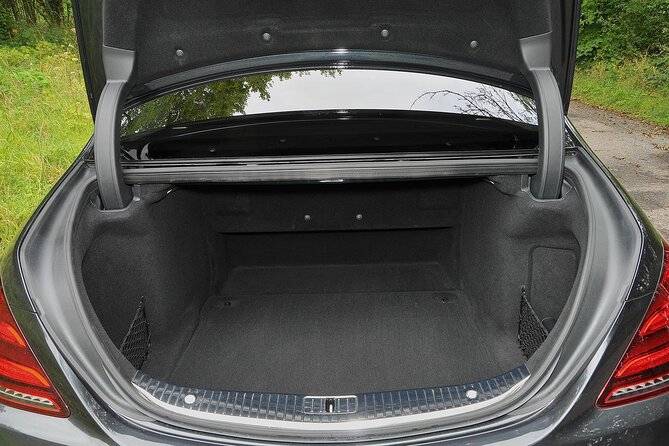 Arrival from Basel Airport BSL to Basel City by Luxury Vehicle - Booking Details and Flexibility for Your Flight Schedule