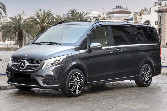 Arrival Transfer: Athens Airport ATH to Athens by Luxury Van - The Booking Process and Flexibility