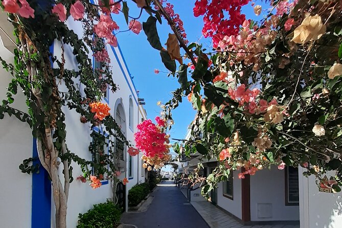 Arround Gran Canaria All Highlights Private Shore Excursion - Departure and Logistics for a Smooth Day