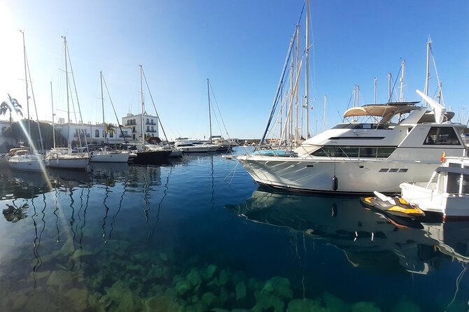 Arround Gran Canaria All Highlights Private Shore Excursion - Lunch and Scenic Views at Puerto de las Nieves