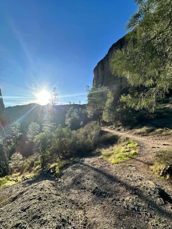 Arroyo Seco Gorge Guided Hike and Optional Swim - Key Points