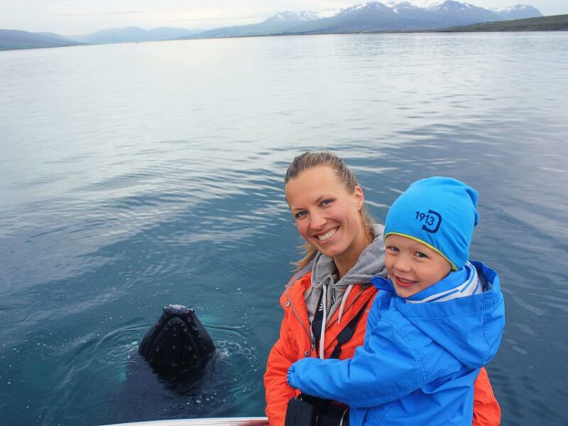 Árskógssandur: Whale-Watching Boat Trip - How the Whale Sightings Unfold