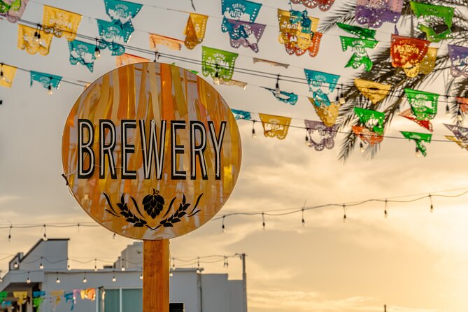 Art and Wine Evening City tour in San Jose del Cabo for Adults - Tasting Local Beers and Appetizers