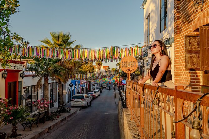 Art and Wine Evening City tour in San Jose del Cabo for Adults - Why Choose This Tour