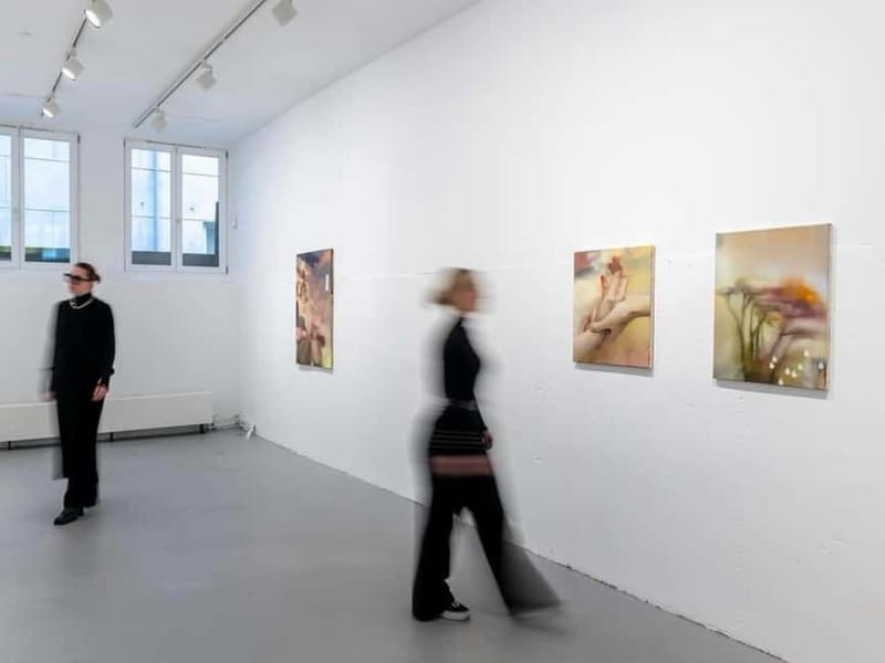 Art Gallery Tour in Amsterdam - Discover the Depth of Amsterdam’s Contemporary Art with a Certified Guide