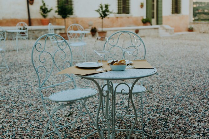 Art & Wine Experience in Valpolicella at Palazzo Montanari - Visiting Palazzo Montanari’s Historic Villa