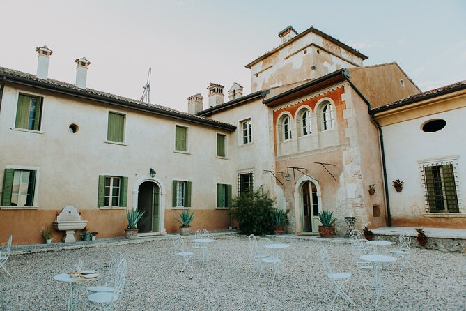 Art & Wine Experience in Valpolicella at Palazzo Montanari - The Setting: Scenic Views and Historic Charm