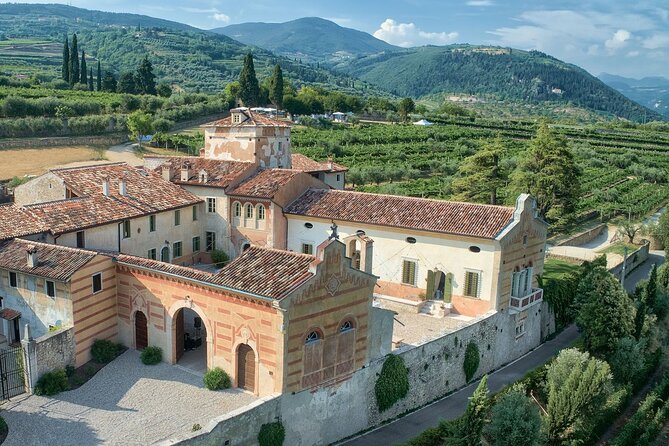 Art & Wine Experience in Valpolicella at Palazzo Montanari - Who Will Appreciate This Tour Most?