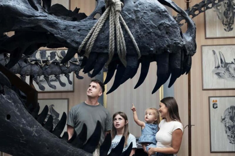 Art Zoo Museum: Art meets nature in a 17th-Century House - Exhibits Showcasing Art and Taxidermy