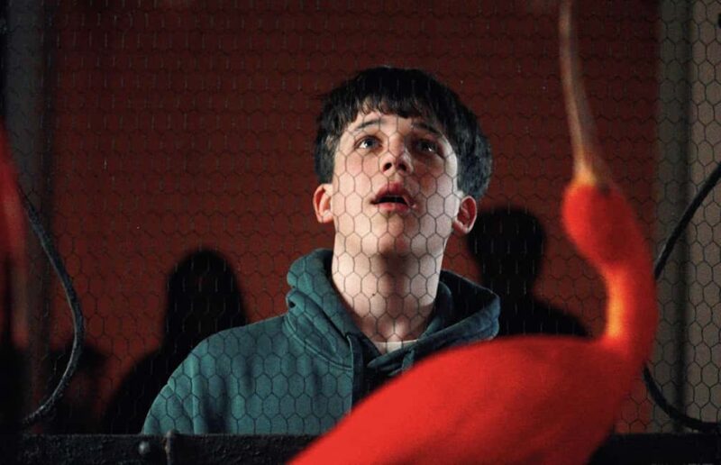 Art Zoo Museum: Art meets nature in a 17th-Century House - Exhibits Inspired by 17th-Century Dutch Still Life