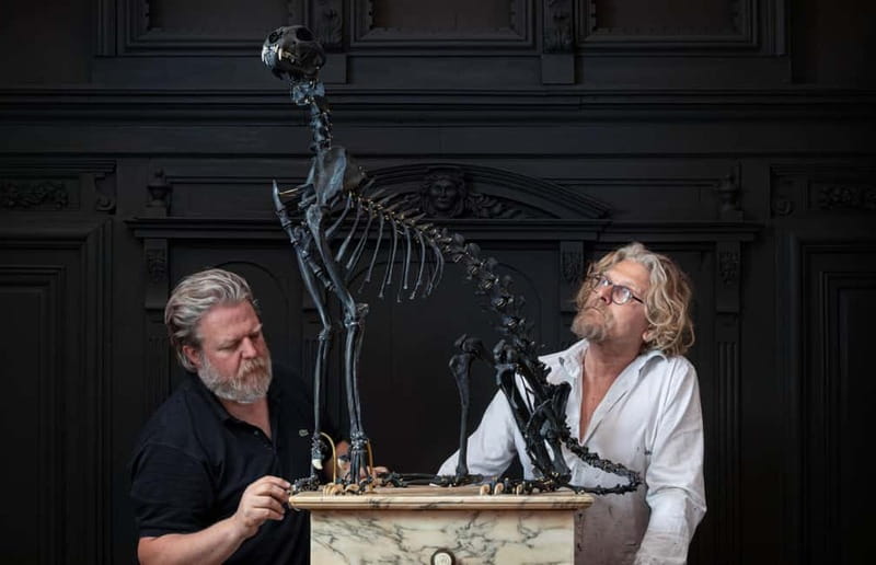 Art Zoo Museum: Art meets nature in a 17th-Century House - Limitations and Considerations for Visitors