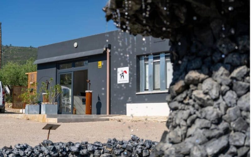 Arte-Contemporary: Sculpture Park and Art Gallery visit - Exploring La Ràpita’s Scenic Setting