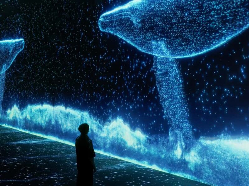 Arte Museum New York: An Immersive Media Art Exhibition - Engaging Interactive Media Art at the Arte Cafe