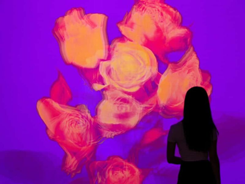 Arte Museum New York: An Immersive Media Art Exhibition - Accessibility and Practical Information for Visitors