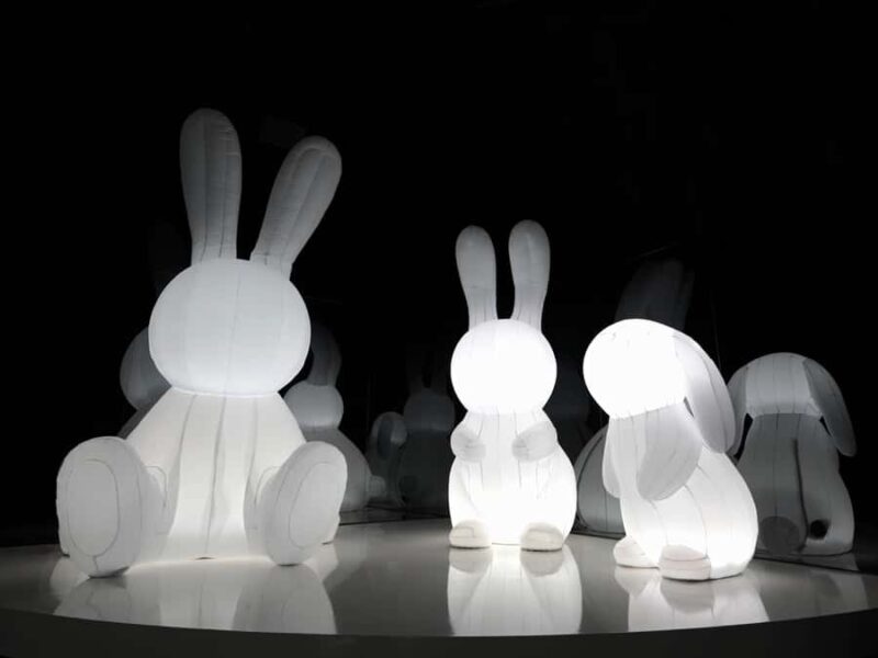 Arte Museum New York: An Immersive Media Art Exhibition - Comparing Arte Museum with Similar Media Art Experiences