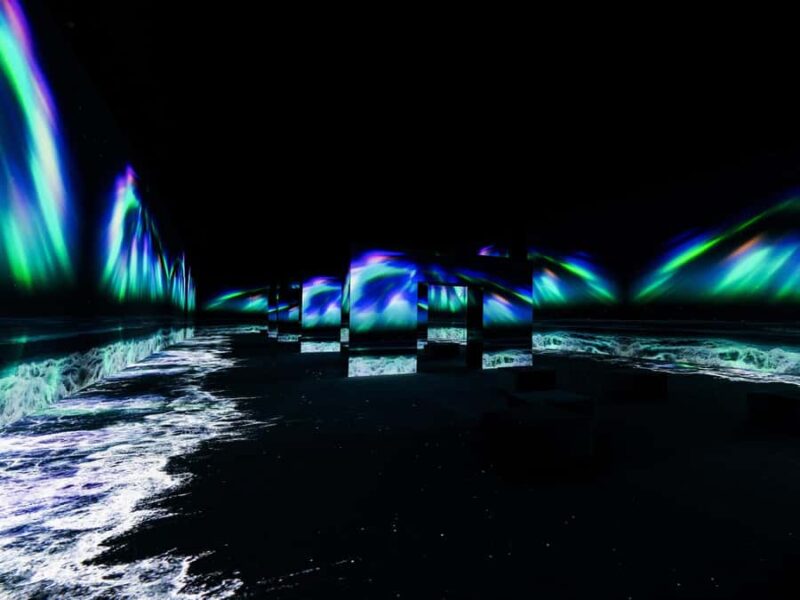 Arte Museum New York: An Immersive Media Art Exhibition - Final Thoughts: A Digital Art Journey Worth Experiencing