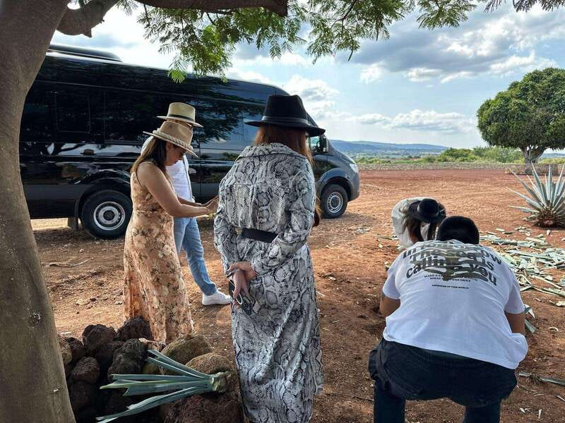 Artisanal Tequila Experience in Private Luxury SUV Local - Discover the Artisanal Tequila Experience in Jalisco