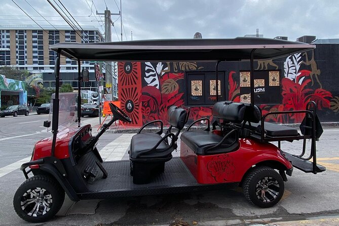 Artist Lead VIP Golf Cart Graffiti Tour - 2-5 ppl - Visiting Wynwood Walls and Top Murals