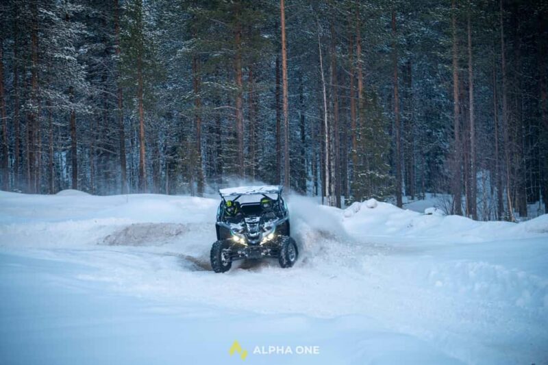 Arvidsjaur: 1.5H - Ice Buggy Ride & Snow Drift Experience - Driving on the Icy Tracks in Swedish Lapland