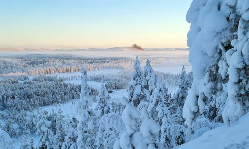 Arvidsjaur: 1,5-Hour Guided Snowmobile Adventure - Scenic Highlights: Frozen Lakes and Snowy Forests