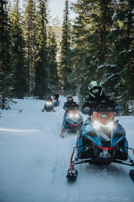 Arvidsjaur: 3-Hour Guided Snowmobile Adventure - Discover the Arctic Wilderness on a Guided Snowmobile Tour in Arvidsjaur