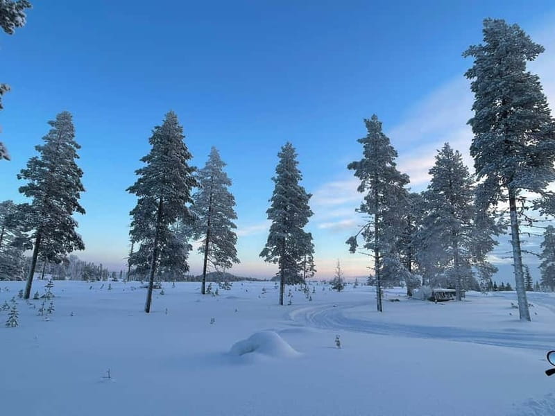 Arvidsjaur: 4-hour custom snowmobile tour in Swedish Lapland - The Snowmobile Route in Swedish Lapland