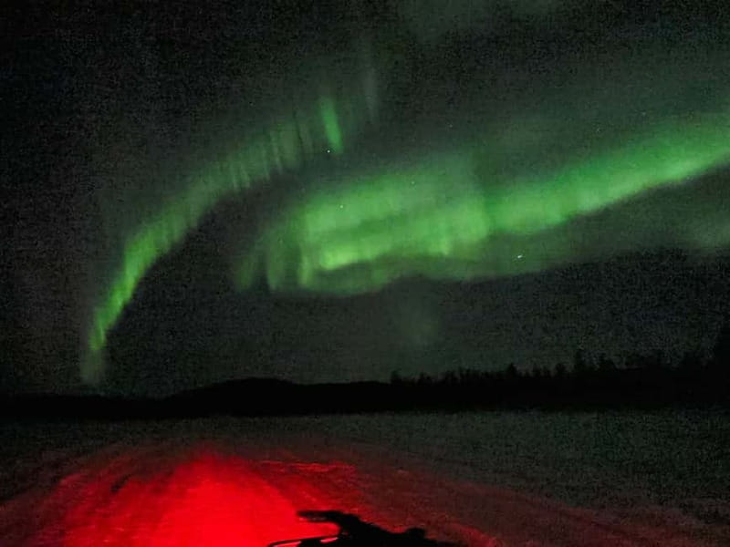 Arvidsjaur: 4-hour custom snowmobile tour in Swedish Lapland - The Experience of Riding with SNOWmotion Arctic Adventures