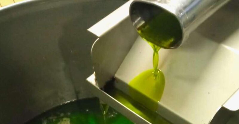 Ascoli Piceno: Olive Oil Tasting with local products - Key Points