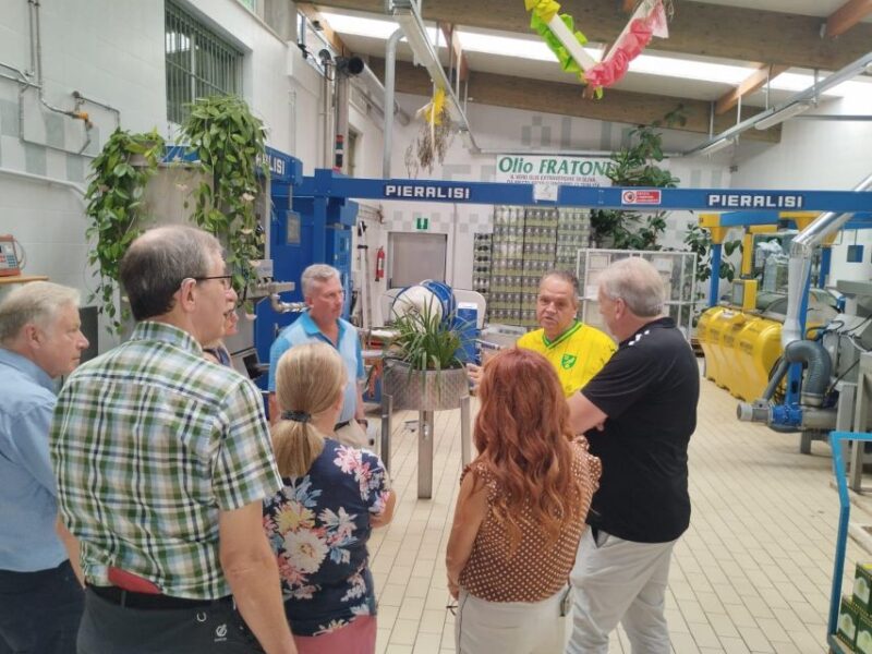 Ascoli Piceno: Olive Oil Tasting with local products - Accessibility and Language Options in the Tour