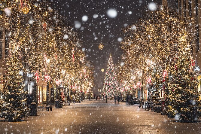 Asheville Holiday Season City Tour - Celebrate Asheville’s Holiday Spirit with a 1.5-Hour City Tour