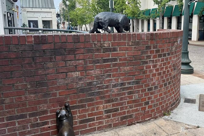 Asheville's Historic Streets: A Self-Guided Walking Tour - Starting Point at the Electric Vehicle Charging Station