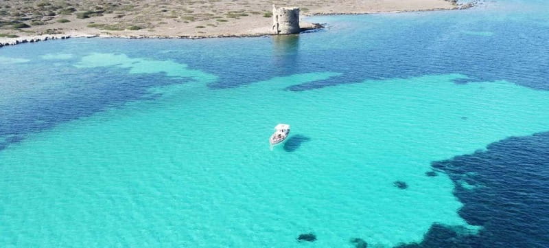 Asinara by Boat: Half-Day Morning Tour among crystal clear waters - An Intimate Small Group Experience with a Max of 10 People