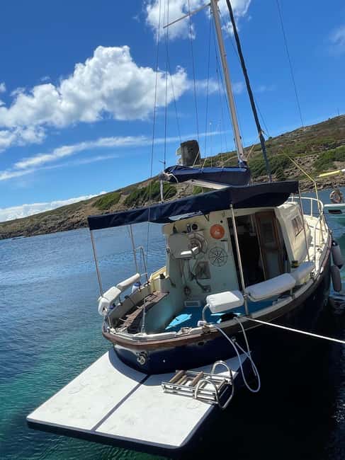ASINARA: motorboat tour of the island park, aperitif, lunch on board. - Wildlife Spotting and Storytelling with the Captain