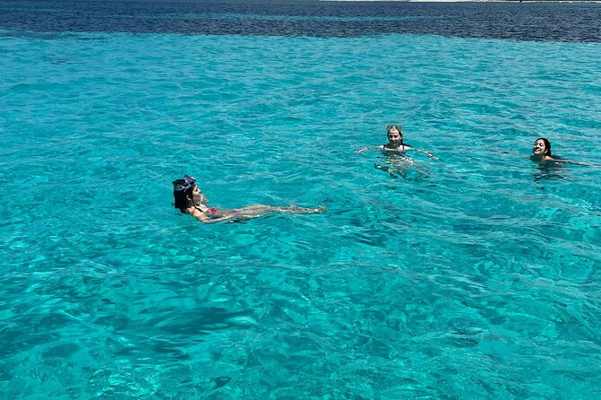 Asinara: Sailing trip in the park of Asinara - The Itinerary: Bays, Snorkeling, and Land Exploration