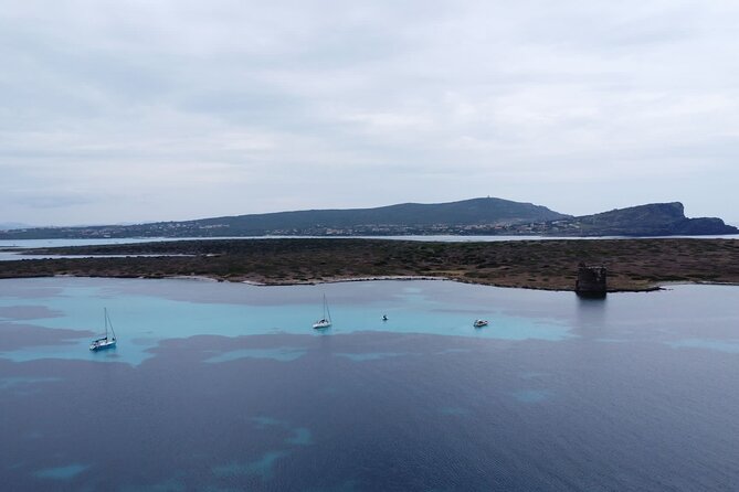 Asinara: Sailing trip in the park of Asinara - Practical Information: Booking, Cancellation, and Accessibility