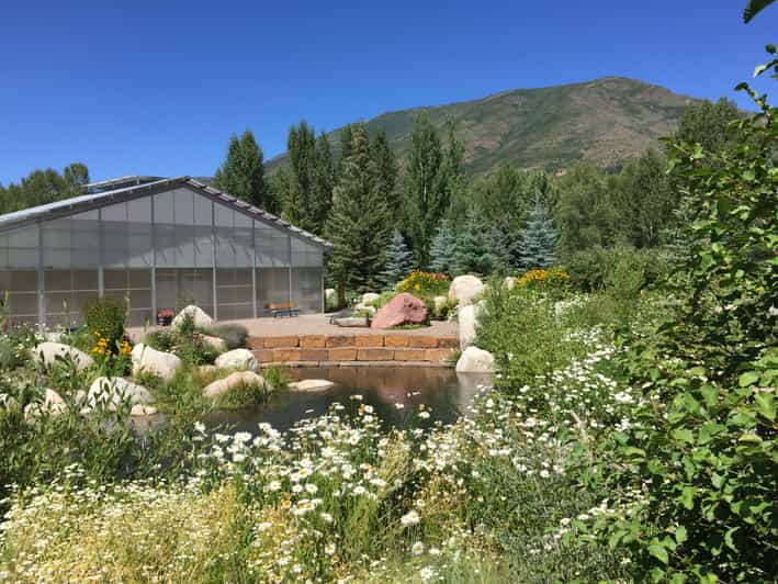 Aspen's Off the Beaten Path Scenic Walking Tour - Key Points